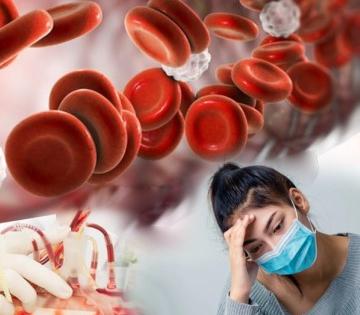 How to increase hemoglobin : खूप थकल्यासारखं वाटतं, हाडंही ठणकताहेत? मग अंगातलं रक्त स्वच्छ, निरोगी ठेवण्यासाठी खा हे १० पदार्थ