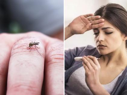 dengue causes symptoms and remedies, dengue cases increasing in India in different states | डेंग्युचा डास चावण्याची एक विशिष्ट वेळ, जाणून घ्या अनेक राज्यांत कहर माजववणाऱ्या डेंग्युबद्दल