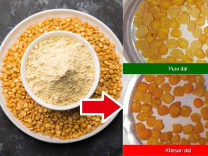 how to know adulteration or mixing in besan FSSAI tells the trick | दिवाळीत बेसनाचे लाडु करताय? अशी ओळखा बेसनपीठातील भेसळ, FSSAI ने सांगितली सोपी ट्रीक