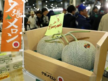 Yubari melon is japan is the most expensive muskmelon in the world | 'या' फळाची किंमत आहे इतकी की तुम्ही म्हणाल यापेक्षा सोनं खरेदी करतो...