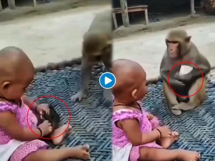 monkey snatches mobile from baby's hand funny video goes viral | अरे देवा! आता या मोबाईलने माकडांनाही लावलंय वेड, चिमुकलीला रडवलंच या माकडाने