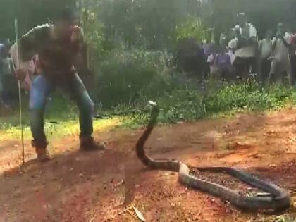 12 foot king cobra rescued in Odisha | थराराक! १२ फुट लांबीचा कोब्रा पडला विहरीत, वनविभानाने रेस्क्यु करताना लावली प्राणांची बाजी