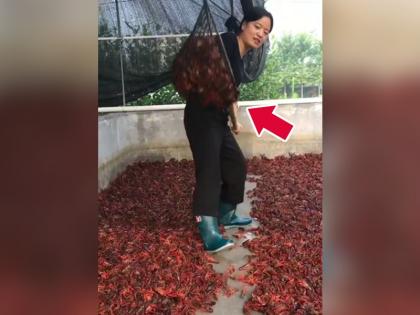 Chinese girl doing scorpion farming goes viral on social media | ही बया कोरोना पुन्हा आणणार! छतावर विंचवांची शेती करणाऱ्या चीनी मुलीवर नेटकरी संतापले