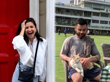 IND vs NZ : ‘Launda from dilli’ – Virat Kohli pets a ‘Mumbai ki billi’ during practice, Anushka Sharma responds | ‘Launda from dilli’; अनुष्का शर्माच्या कमेंटवर विराट कोहलीचं उत्तर, सोशल मीडियावर पोस्ट व्हायरल