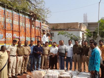 Smuggling from nursery trees; 12 bags of cannabis seized from truck | नर्सरीच्या झाडाआडून तस्करी; ट्रकमधून १२ पोती गांजा जप्त, दोघे ताब्यात