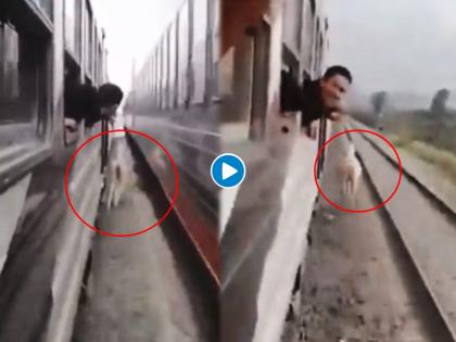 Watch: Horse gallops between two moving trains, emerges unhurt | दोन धावत्या ट्रेनच्या मध्ये फसला घोडा, अन्..... पाहा थरकाप उडवून देणारा व्हिडीओ...