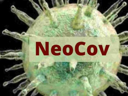 Coronavirus: Don't be afraid of Neocov: Task Force appeal | Coronavirus: नियोकोवला घाबरू नका : टास्क फोर्सचे आवाहन