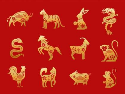 Rats, oxen, rabbits, monkeys, snakes or pigs? What is your Chinese zodiac sign? Table of identification according to your birth year | उंदीर, बैल, ससा, माकड, साप की डुक्कर? तुमची चायनीज राशी काय आहे? तुमच्या जन्मवर्षानुसार रास ओळखण्याचा तक्ता