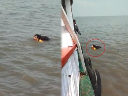 Video: Nasheeb Balwattar! The passenger fell into the sea from the launch and survived as he was able to swim so save himself | Video : नशीब बलवत्तर! लाॅन्चमधून समुद्रात प्रवासी पडला, पोहता येत असल्याने वाचला जीव                                                                                                              