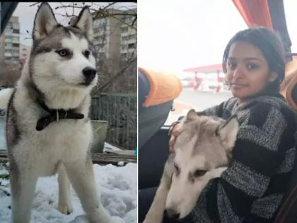 Russia Ukraine War: Support not left in crisis! The student brought the pet dog safely from Ukraine to India | Russia Ukraine War: संकटातही सोडली नाही साथ! विद्यार्थिनीने पाळीव कुत्र्याला युक्रेनमधून सुखरूप आणले भारतात