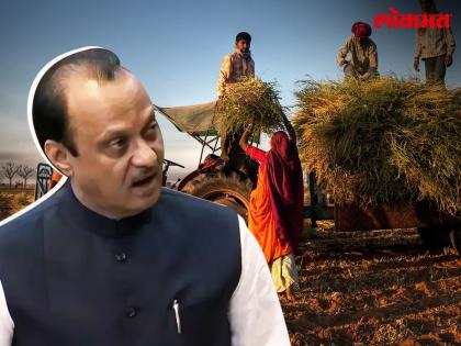 Maharashtra Budget 2022: 10 important decisions taken by Thackeray government in the budget For agriculture | Maharashtra Budget 2022: अर्थसंकल्पात ठाकरे सरकारकडून शेतीक्षेत्रावर विशेष लक्ष, घेतले हे महत्त्वपूर्ण १० निर्णय