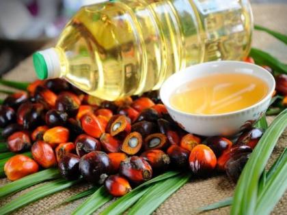 Inflation: A liter of palm oil in Indonesia costs Rs 22,000, will have a big impact on India | Inflation: इंडोनेशियात एक लीटर पाम तेलाची किंमत २२ हजार रुपयांवर, भारतावरही होणार मोठा परिणाम 