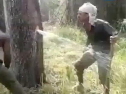 Video this unique tree shows the charisma of nature gives drinkable water on cutting | निसर्गाचा आविष्कार! फक्त ऑक्सिजन नाही तर पिण्याचं पाणी देखील देतं 'हे' झाड; Video व्हायरल