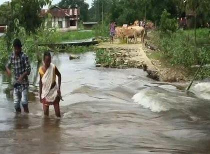 assam rain news heavy rainfall lightning and storm claims 14 lives asdma report | पावसाचा हाहाकार! आसाममध्ये वीज कोसळल्याने 14 जणांचा मृत्यू; 21 हजार लोकांना फटका