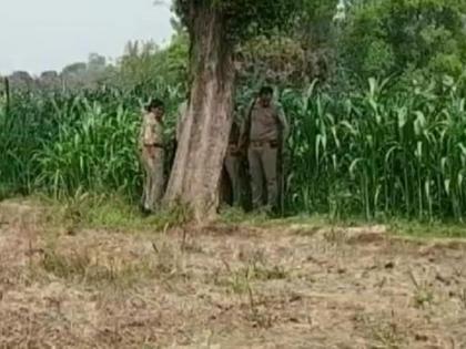 Chimurdi brutally murdered, decapitated body found in forest; Not yet identified | निर्घृण हत्या, जंगलात सापडला मान कापलेला मृतदेह; अद्याप ओळख पटलेली नाही