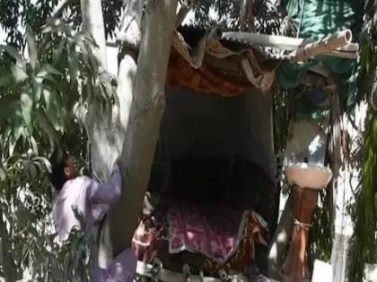 Jara Hatke: Real Life Tarzan Found, Living on a Tree for 8 Years | Jara Hatke: सापडला रियल लाईफमधील टारझन, ८ वर्षांपासून झाडावर जगतोय जीवन, असा थाटला संसार 