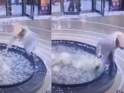 woman fell into water in mall while using mobile phone people laughed after see funny video | मोबाईलमध्ये गुंग असणं तरुणीला पडलं चांगलंच महागात; घडली भयंकर दुर्घटना, Video व्हायरल