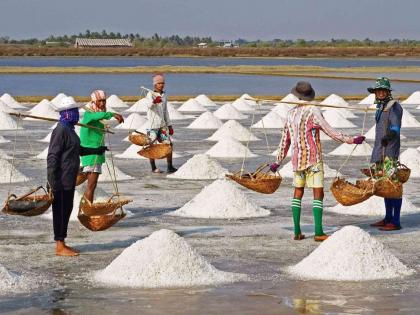 Salt Crisis: Inflation, after power shortage, now the countrymen will have food | Salt Crisis: महागाई, वीजटंचाईनंतर आता देशवासियांचं भोजन होणार अळणी, रेल्वेच्या त्या निर्णयामुळे मीठटंचाईचं संकट 