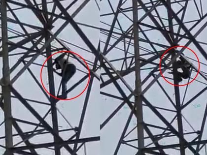 The wife is not coming to law home, so the young man climbed the tower, the type in Pune's Junnar | Video : बायको नांदायला येत नाही, म्हणून चक्क टॉवरवर चढला युवक