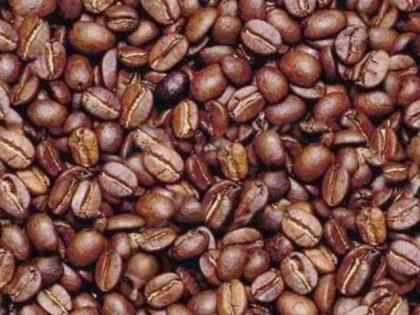 Optical Illusion: Can You Spot The Hidden Man In the Coffee Beans Before 33 Seconds? | Optical Illusion : कॉफी बीन्समध्ये लपलाय व्यक्तीचा चेहरा; भलेभले शोधून थकले, तुम्हाला 33 सेकंदात सापडतोय का पाहा