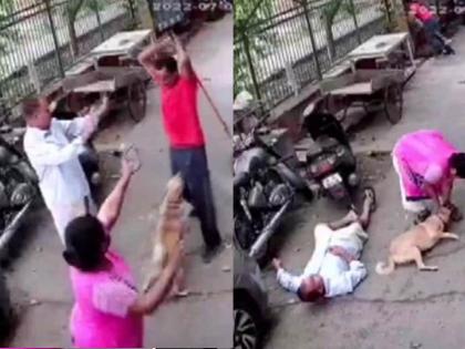 The dogs barked, grabbed the tail, threw the dog, and the owner was beaten with an iron rod | कुत्रा भुंकल्याने भडकला, शेपूट पकडून श्वानाला फेकला तर मालकाला लोखंडी रॉडनं धोपटलं