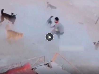 Dogs attack on man walking alone on street shocking video but man fights back with stick earn praise on social media viral video | Dogs Attack Viral Video: रस्त्यावर एकटा असताना कुत्र्यांनी तरूणाला घेरलं, त्यानंतर जे झालं ते एकदा पाहाच