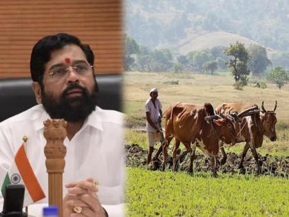 50,000 subsidy to farmers, Rs 1 electricity subsidy per unit; Eknath Shinde's big announcements, cabinet decisions | Eknath Shinde on Farmers: शेतकऱ्यांना ५० हजारांचे अनुदान, प्रति युनिट १ रुपये वीज सवलत; एकनाथ शिंदेंच्या मोठ्या घोषणा