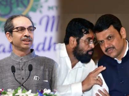 shiv sena mp vinayak raut criticised cm eknath shinde over alliance with bjp | Maharashtra Politics: “भाजपच्या त्रासाविरोधात पहिला आवाज उठवणारे एकनाथ शिंदेच होते, उद्धव ठाकरेंनी समजावले होते”