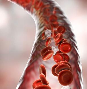 Best Ways To Detox Body : शरीरातले घातक पदार्थ बाहेर काढतील ५ उपाय; आजारांपासून चार हात लांब राहाल