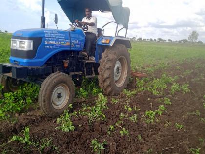 Due to excessive rain, the farmer turned the plow on the soybeans due to the pest | अतिवृष्टी, किडीला वैतागून शेतकऱ्याने सोयाबीनवर फिरवला नांगर