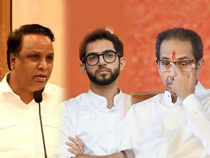 BJP Ashish Shelar Slams Shivsena Uddhav Thackeray Over saamana editorial | Ashish Shelar : "फोडा-झोडा सोडा, तुमचे मिशन मराठी माणसाला गाडा आणि आपला मॉल चालवा"; भाजपाचं प्रत्युत्तर