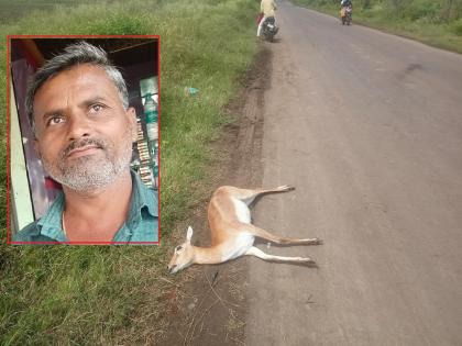 A bike rider suddenly hits a deer on the road; Death of both | दुचाकीस्वाराची अचानक रस्त्यात आलेल्या हरणास धडक; दोघांचाही मृत्यू