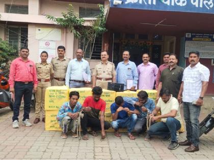 Thieves looted 3 lakhs worth of Bidi; 5 thieves arrested with accurate information of Khabarya | पोलिसांनी साप निघाल्याचे सांगून सर्पमित्रास बोलावले; ३ लाखांच्या बिड्या चोरीचा झाला उलगडा