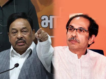 We brought down the government, now Uddhav Thackeray should stop talking; Criticism of Narayan Rane | आम्ही सरकार पाडून दाखवलं, आता उद्धव ठाकरेंनी बडबड बंद करावी; नारायण राणेंची टीका