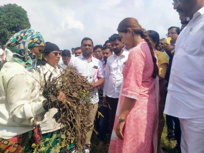 Do not upset, this is farmers government ; MP Pritam Munde went to the farm land and encouraged the farmers | 'हताश होऊ नका, हे शेतकऱ्यांचे सरकार'; खा. प्रीतम मुंडेंचा बांधावर जाऊन शेतकऱ्यांना धीर