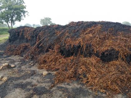 stock of eight acres of soybeans was set on fire by an unknown person; 6 lakhs loss to the farmer | आठ एकरावरील सोयाबीनची बनीम अज्ञाताने पेटविली; शेतकऱ्याचे ६ लाखांचे नुकसान