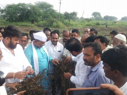 While the damage may not be visible as per Panchnama, all the affected farmers will get definite help: Abdul Sattar | सरसकट पंचनामे सारखे नुकसान दिसत नाही, परंतु सर्व नुकसानग्रस्त शेतकऱ्यांना मदत मिळेल