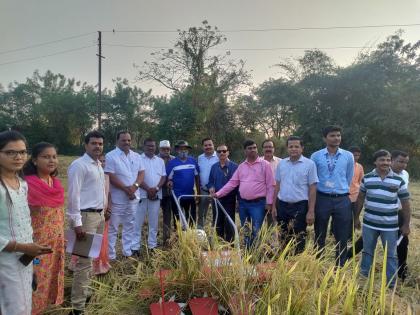 Inspection of agricultural implements in the district by Central Government officials | केंद्र शासनाच्या अधिकाऱ्यांकडून जिल्ह्यातील शेतीसह अवजारांची पाहणी