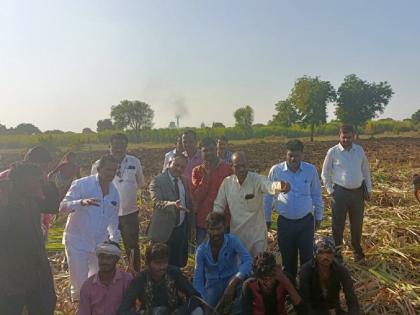 Social Welfare Commissioner directly at the farmland to know the issues of sugarcane workers | ऊसतोड कामगारांचे प्रश्न जाणून घेण्यासाठी समाज कल्याण आयुक्त थेट बांधावर