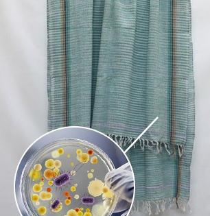 When to Replace Towels : महिनोंमहिने एकच टॉवेल वापरता? आजारी पडण्याआधीच समजून घ्या टॉवेल कधी बदलायचा