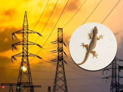 lizard cut off lights of thousands of houses employees were also surprised know whole matter | बापरे! एका पालीने केली 'बत्तीगुल'; हजारो घरांची गेली वीज, कर्मचारीही झाले हैराण अन् मग...