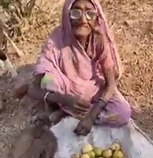 भर उन्हात रस्त्यावर बसून आजीबाई विकत होत्या पेरू, पोलिसांनी पाहिलं आणि मग... बघा व्हायरल व्हिडिओ