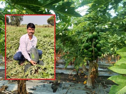 Take a bold step to break traditional agriculture; Papaya, watermelons were sold even out of state | धाडसी पाऊल टाकत पारंपरिक शेतीला फाटा; पपई, टरबुजांनी केले मालामाल