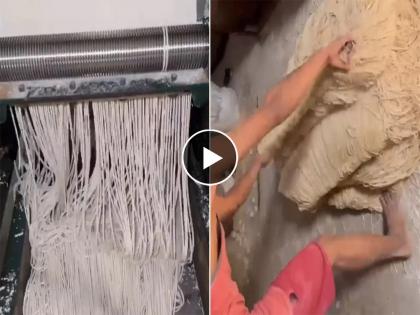 A video of noodles being made in a factory is currently going viral on social media. | कारखान्यात कसे बनवले जातात नूडल्स? ; व्हायरल Video मोठ्या धाडसाने बघा, नाहीतर...