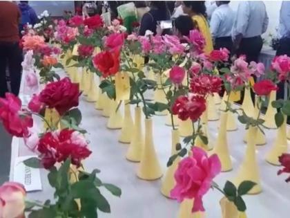 A unique rose exhibition was held at Birla College kalyan | बिर्ला महाविद्यालयात भरलंय अनोखे गुलाब प्रदर्शन