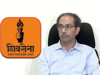 supreme court now hearing petition of samata party about mashal symbol of thackeray group after 6 weeks | ठाकरे गटाकडून ‘मशाल’ चिन्हही जाणार? सुप्रीम कोर्टात झाली सुनावणी; समता पक्षाची याचिका