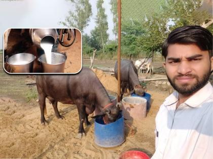 dhanraj lavvansh who left 3 government jobs started dairy in aklera jhalawar rajasthan | जबरदस्त! 3 सरकारी नोकऱ्या सोडून 'तो' दूध विकायला लागला; आता करतो लाखोंची कमाई