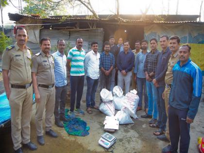 Started selling ganja from home; One person detained with 10 kg ganja in Gevrai | घरातूनच सुरु केली गांजा विक्री; १० किलो गांजासह एकजण ताब्यात