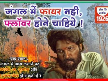 'Pushpa' on Solapur forest; Public awareness to prevent wildfires | जंगल मे फायर नहीं फ्लावर होना चाहीए! सोलापुरच्या रानमाळावर 'पुष्पा'; वणवा रोखण्यासाठी जनजागृती