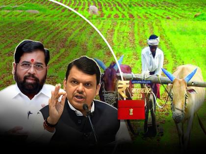 Maharashtra Budget: Freed farmers from yoke of insurance companies; Crop insurance for Rs 1 only, the rest will be paid by the state government, Devendra Fadanvis announcement | Maharashtra Budget: विमा कंपन्यांच्या जोखडातून शेतकऱ्यांना सोडविले; केवळ 1 रुपयांत पीकविमा, उरलेले राज्य सरकार भरणार